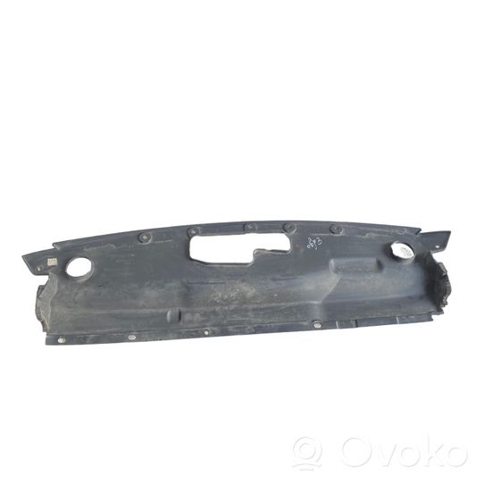 Ford Edge II Rivestimento della modanatura della chiusura del vano motore/cofano FT4BR16613AB