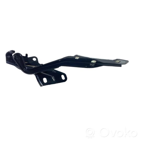 Dodge RAM Cerniere del vano motore/cofano DG014228AL