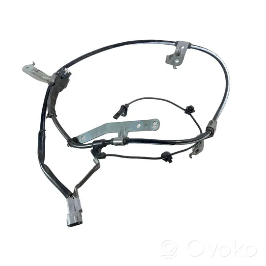 Subaru Outback (BT) Câblage / faisceau de câbles 