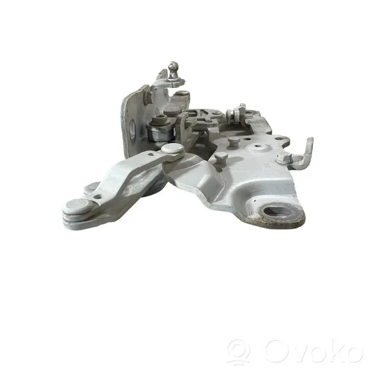 BMW 5 F10 F11 Cerniere del vano motore/cofano 7249887