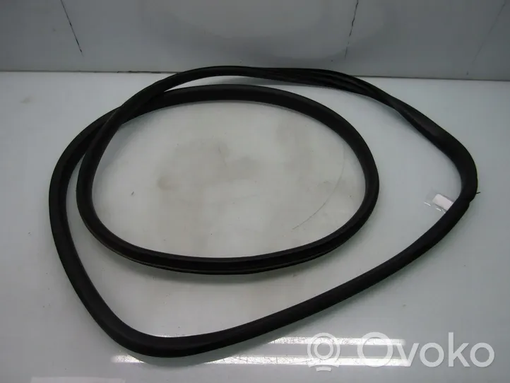 Renault Scenic III -  Grand scenic III Rear door rubber seal (on body) 