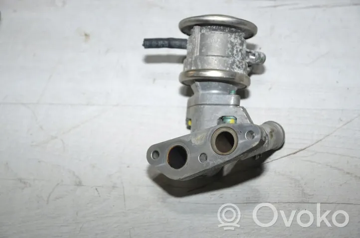 Volkswagen Touareg I Zawór EGR 066131119A