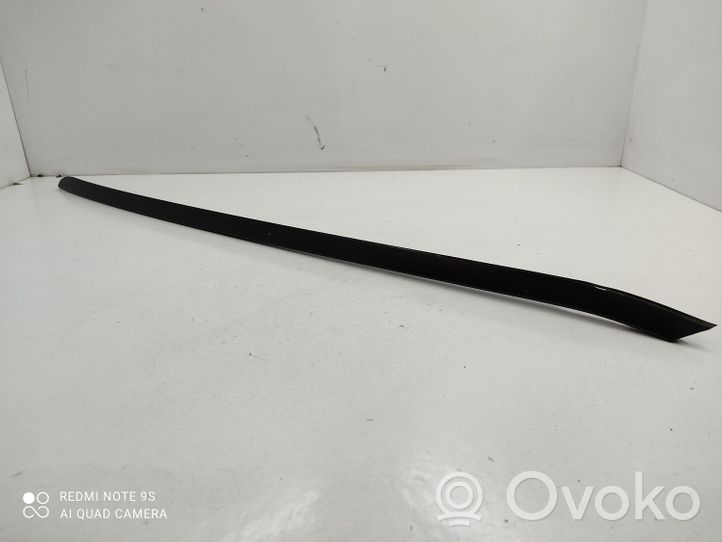 Audi A6 Allroad C5 Front door glass trim molding 