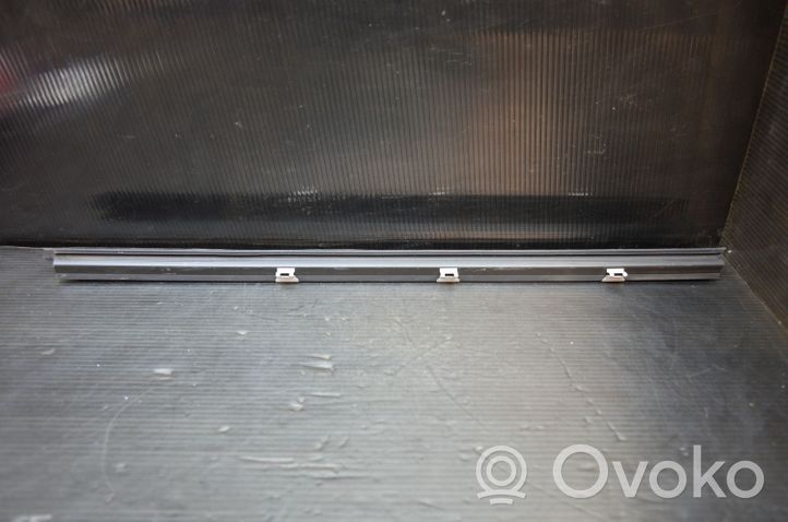 BMW X5 E70 Rivestimento del vetro della portiera 7136978