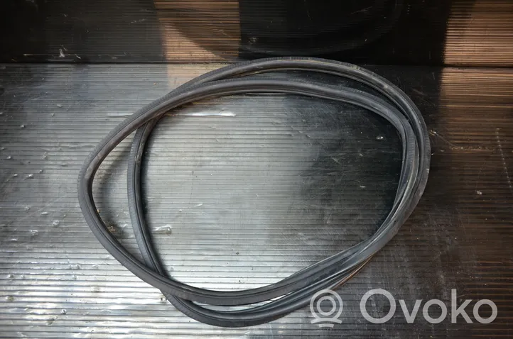 Opel Zafira B Rubber seal front door (on door) 