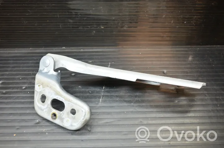 Audi A6 Allroad C6 Engine bonnet/hood hinges 