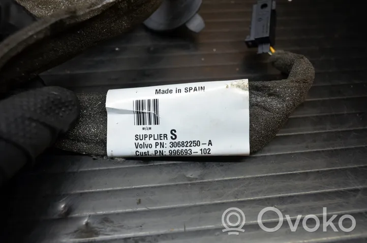 Volvo V50 Faisceau de câblage de porte arrière 30682250A