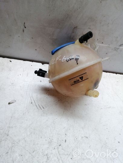 Volkswagen Golf VI Coolant expansion tank/reservoir cap 1K0121407A