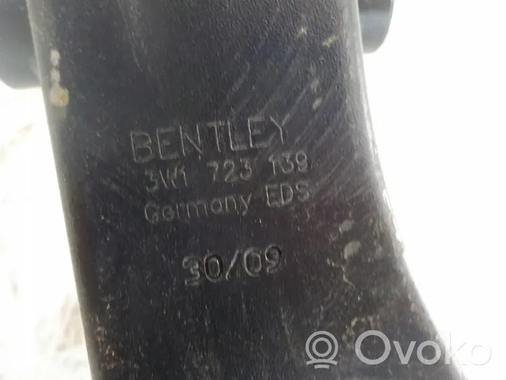 Bentley Continental Pédale de frein 3W1723139