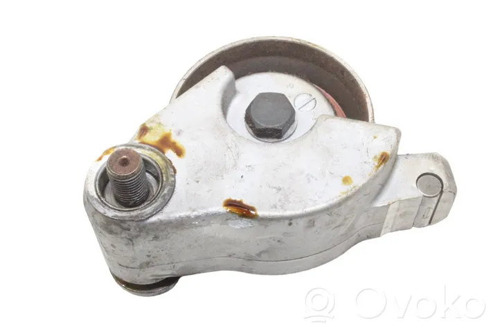 Lexus RX 330 - 350 - 400H Napinacz paska alternatora 