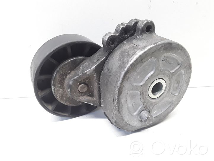 Volvo C30 Generator/alternator belt tensioner 325614