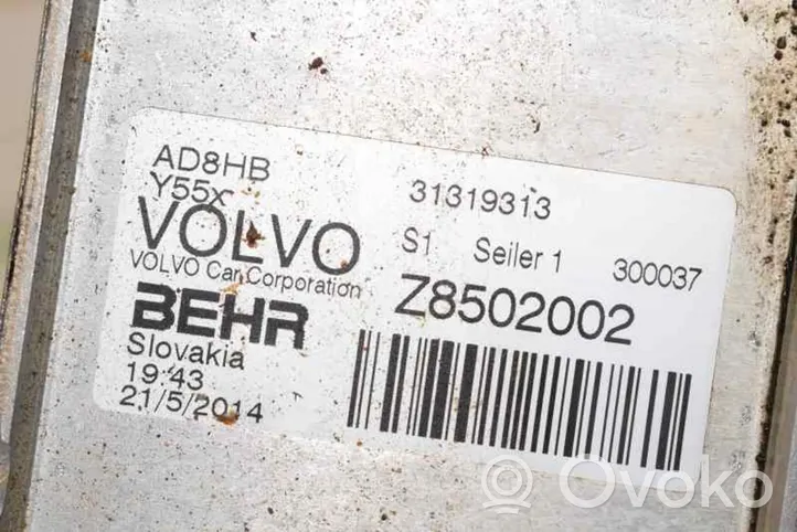 Volvo V40 Radiatore dell’olio del cambio 31319313