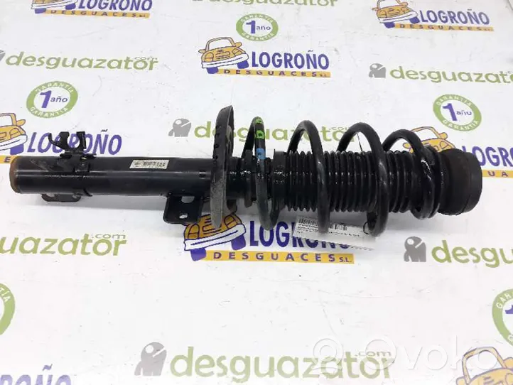 Seat Ibiza IV (6J,6P) Ammortizzatore anteriore 6R0413031M