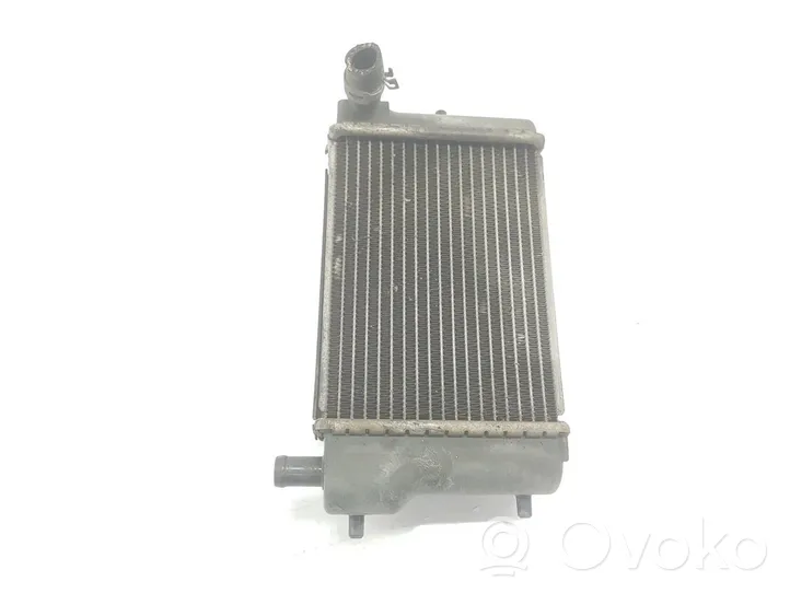 Infiniti FX Dzesēšanas šķidruma radiators 214601BY0A