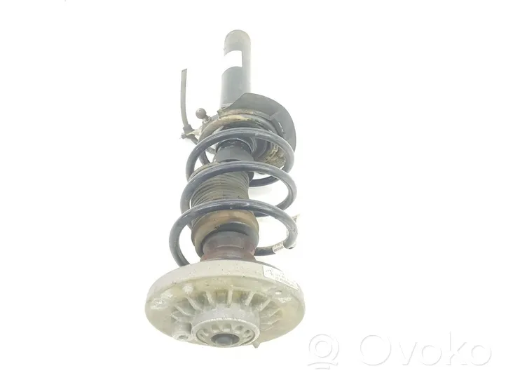 BMW X3 G01 Ammortizzatore anteriore 31316796316