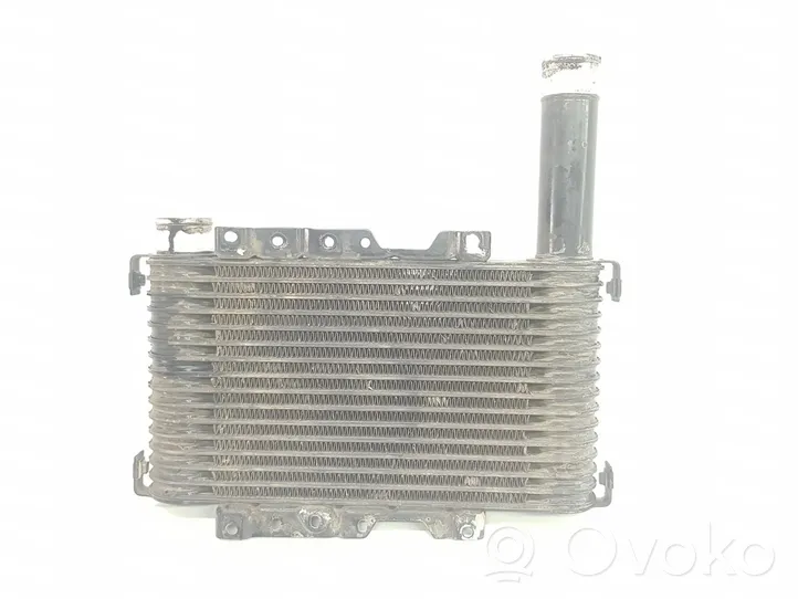 Mitsubishi Montero Chłodnica powietrza doładowującego / Intercooler MR239608