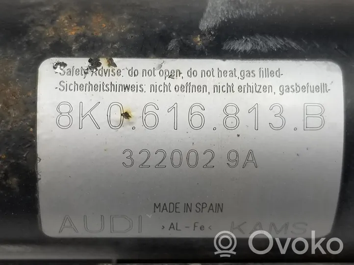 Audi A4 S4 B8 8K Compressore sospensioni pneumatiche 8K0616887