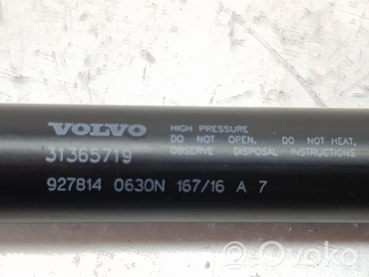 Volvo XC60 Ammortizzatore portellone posteriore/bagagliaio 31365719