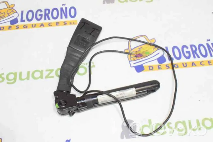 Opel Signum Hebilla del cinturón de seguridad trasero 24465104F