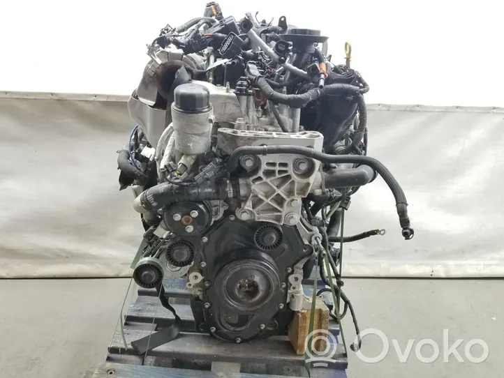 Land Rover Evoque II Motore 204DTD
