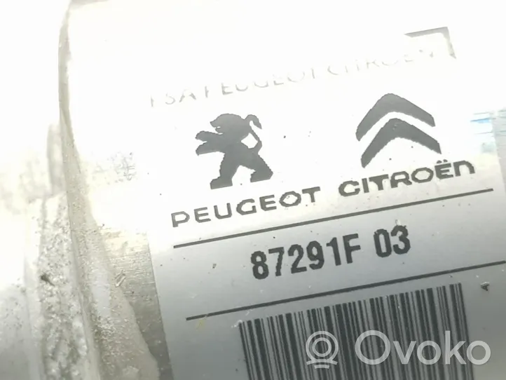 Citroen C4 II Oro kondicionieriaus kita detalė 9819884480