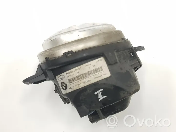 BMW X3 F25 Feu antibrouillard avant 63177317251