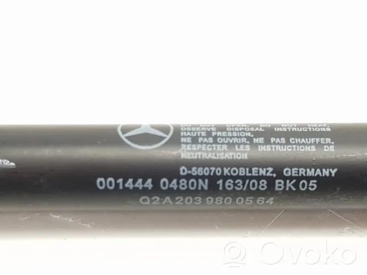 Mercedes-Benz CLC CL203 Ammortizzatore portellone posteriore/bagagliaio A2039800564