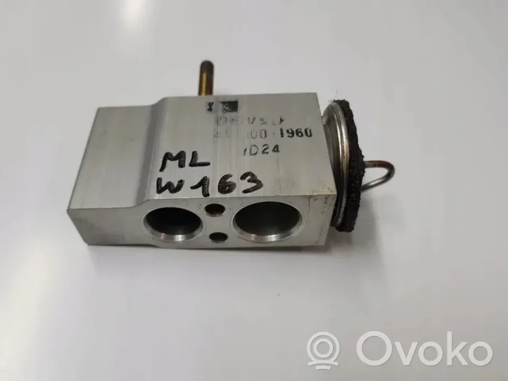 Mercedes-Benz ML W163 Air conditioning (A/C) expansion valve 