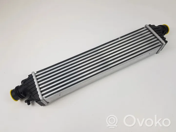 Opel Corsa E Chłodnica powietrza doładowującego / Intercooler 134402061302312