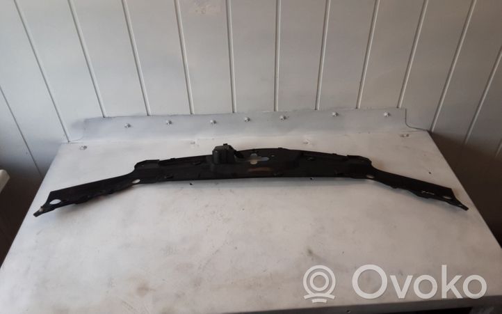 Honda Accord Rivestimento della modanatura della chiusura del vano motore/cofano 71123SEA