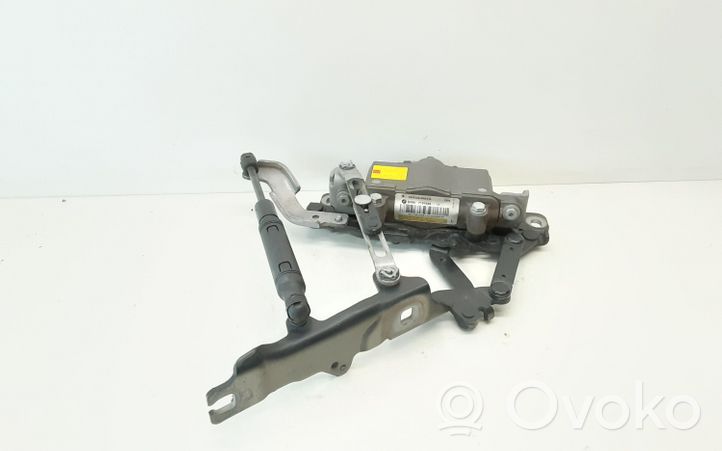 BMW 5 F10 F11 Cerniere del vano motore/cofano 7191049