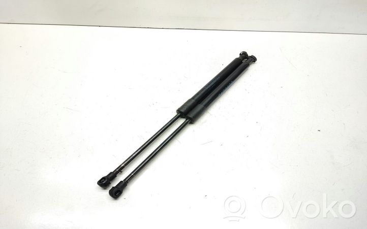 BMW 3 E92 E93 Ammortizzatore portellone anteriore/cofano 7129190