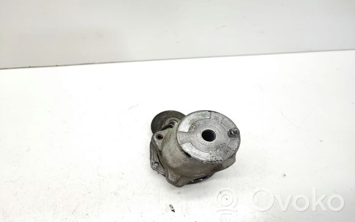 BMW X1 E84 Tensor de correa del alternador 