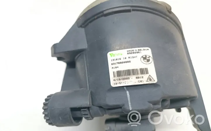 BMW X5 E53 Fendinebbia anteriore 6920886