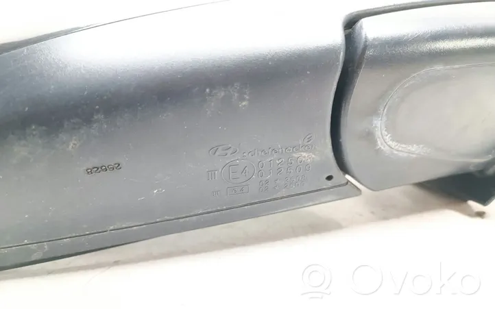 Hyundai Santa Fe Front door electric wing mirror E4012508