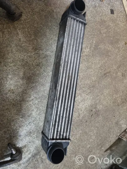 BMW 5 E39 Chłodnica powietrza doładowującego / Intercooler 2247359