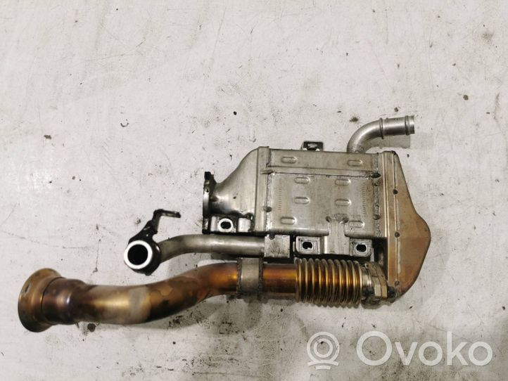 Mercedes-Benz E W213 EGR aušintuvas A6541400200