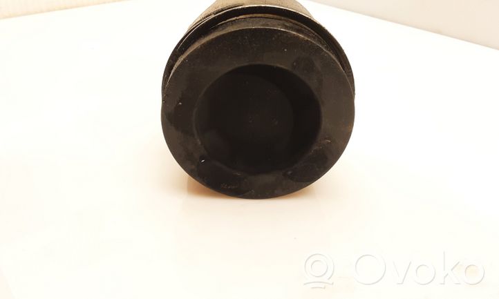 Volkswagen Tiguan Piston 