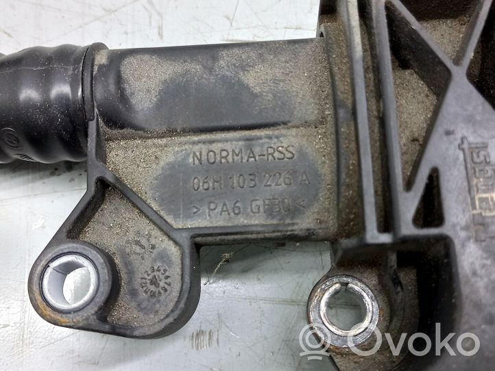 Volkswagen Golf VI Separatore dello sfiato dell’olio 06H103495E