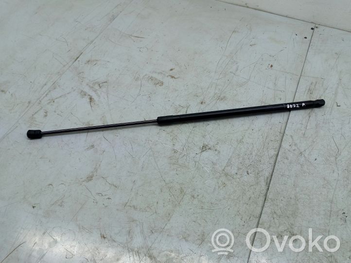 Volkswagen PASSAT CC Ammortizzatore portellone anteriore/cofano 3C8823359