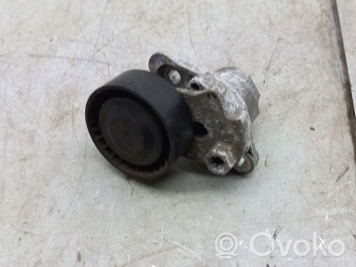 Volkswagen Jetta USA Tendicinghia generatore/alternatore 04E145209