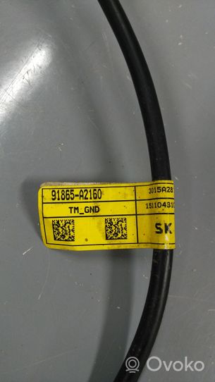 KIA Ceed Câble de batterie positif 91865A2160