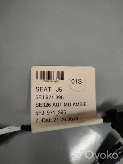 Seat Tarraco Cablaggio/alloggiamento cablaggio della portiera anteriore 5FJ971395