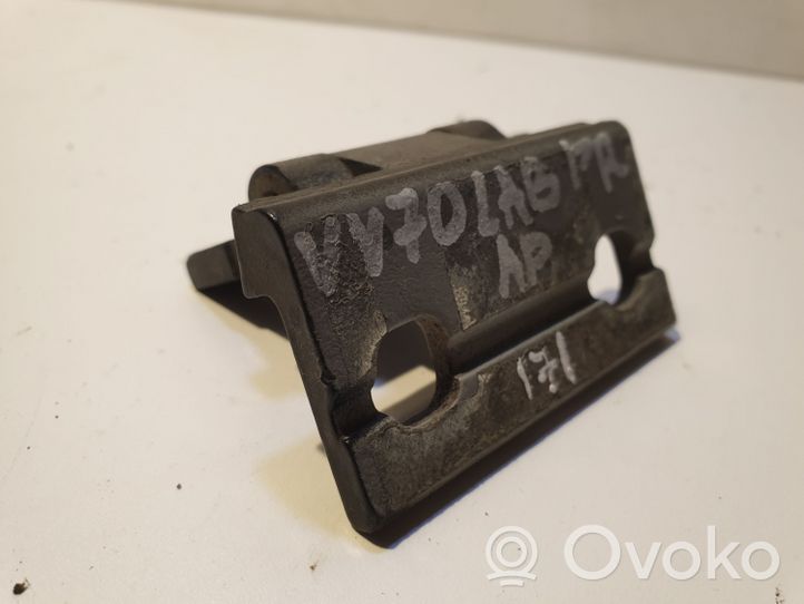 Volvo V70 Front door lower hinge 