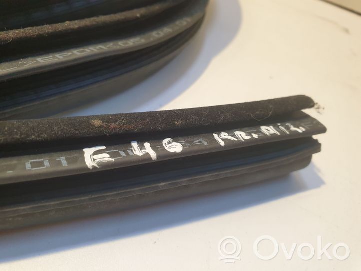 BMW 3 E46 Rear door rubber seal (on body) 8194681