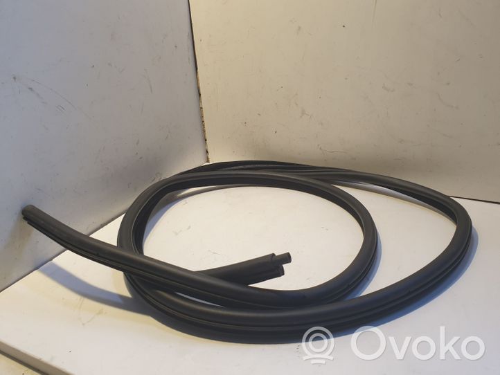 BMW 3 E46 Rear door rubber seal (on body) 8194681