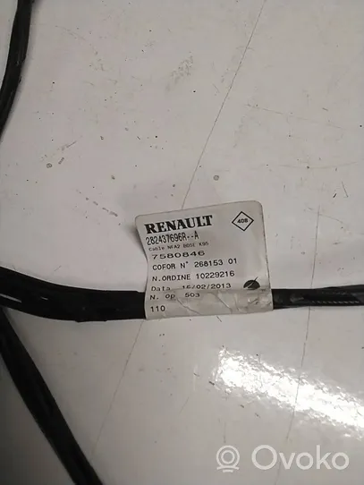 Renault Megane III Autres faisceaux de câbles 282437696r
