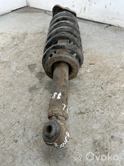 Dodge Journey Rear shock absorber with coil spring 