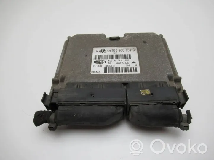 Volkswagen Golf IV Centralina/modulo motore ECU 036906034