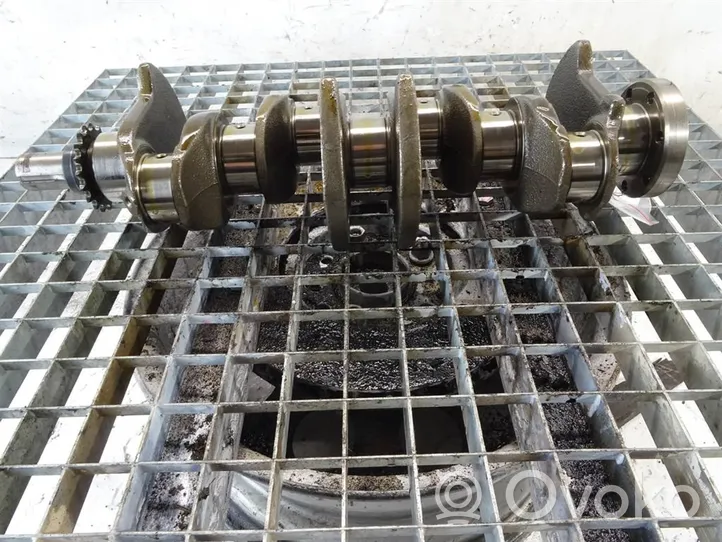 Renault Fluence Crankshaft K4M838